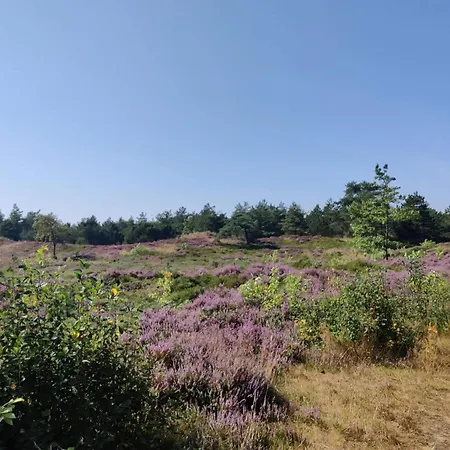 Luxury Retreat In Romo - By Traum Kongsmark